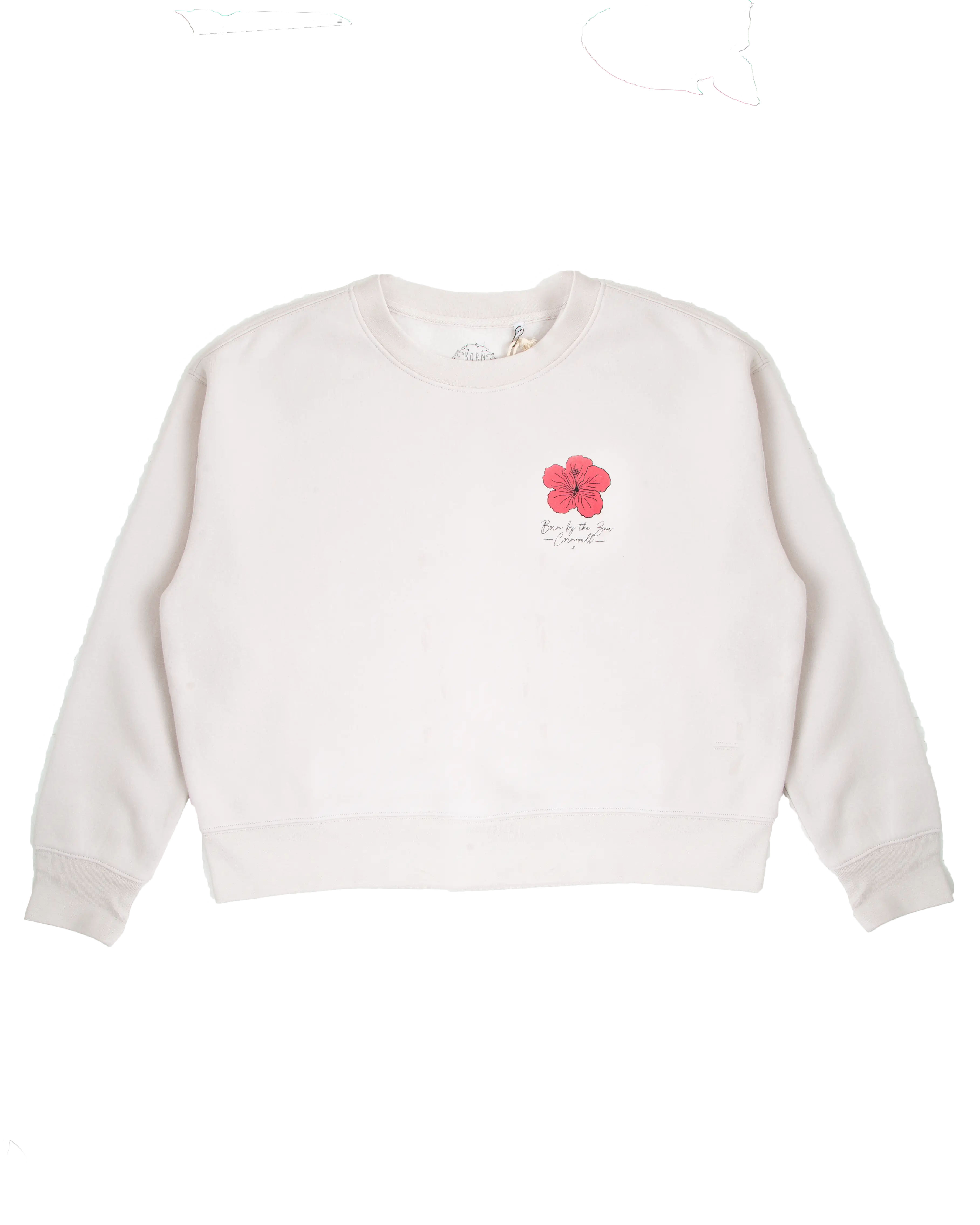 Surfboard Sweatshirt in Bone Hoodie with Print Artistic Unique