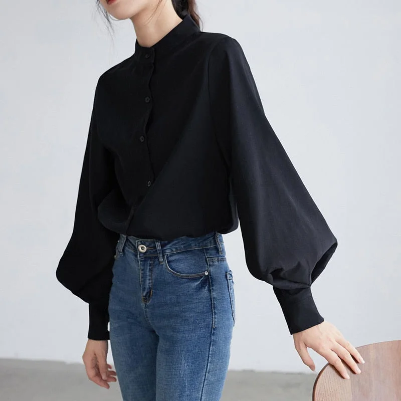 Big Sleeve Blouse